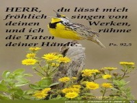 Laesst ich froehlich singen