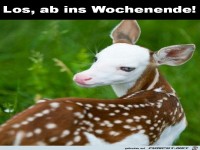 Ab ins Wochenende