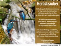 Der Zauber des Herbstes