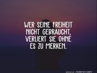 wer seine freiheit nicht gebraucht