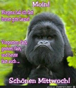 Schönen-Mittwoch.jpg auf www.funpot.net