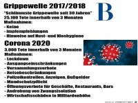 Corona 2020 vs. Grippewelle