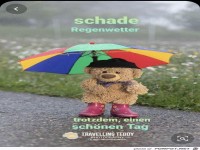 Schade Regenwetter
