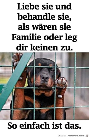 Behandle-sie-wie-Familie.jpg auf www.funpot.net