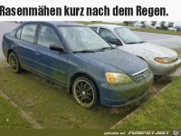 Rasenm�hen nach dem Regen