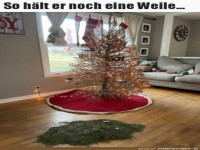 Baum h�lt noch eine Weile