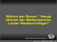 St�hnt der Boxer