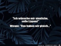 Wespen erledigen das f�r dich