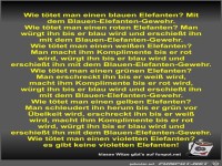 Wie t�tet man einen blauen Elefanten?