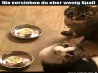 Da verstehen sie keinen Spa�