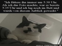 Du bist zu sp�t