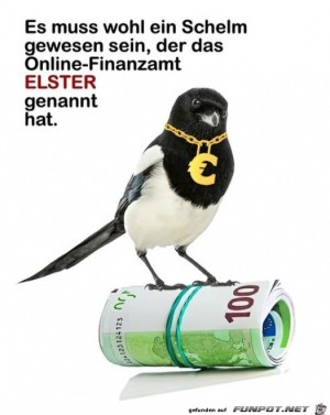Elster.jpg auf www.funpot.net