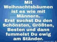 St�nder