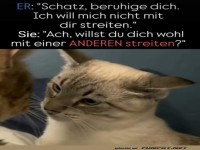 Ich will mich nicht mit dir streiten