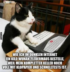 Katze-bestellt-im-Internet.jpg auf www.funpot.net
