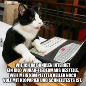 fun-Bild: Katze bestellt im Internet