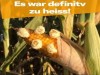 weiter