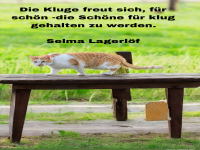 die kluge freut sich fpr schn