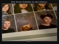Wenn Bello das Klassenfoto crasht