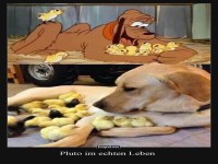 Pluto hat Konkurrenz bekommen!