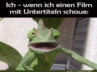 Kinoabenteuer fr Leseratten