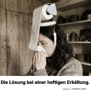 fun-Bild: Innovative Erk&auml;ltungshilfe: Toilet Roll Tower