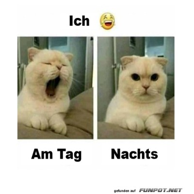 M&uuml;de-am-Tag-und-wach-in-der-Nacht.jpg von Gregor