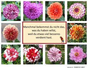 Manchmal-bekommst-du-nicht-das.jpg auf www.funpot.net