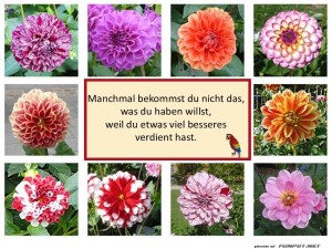 herz-Bild: Manchmal bekommst du nicht das