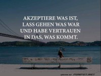 akzeptiere was ist