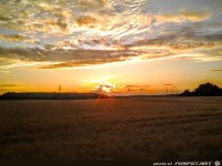 fuer Bildgenerator freigegeben 001634