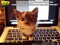 Hast du nichts anderes zu tun als immer im Facebook zu sein
