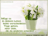 moege es in deinem Leben