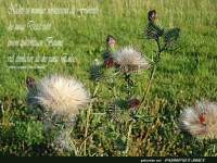 Nichts ist weniger verheissend...