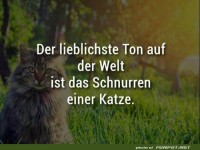 Schnurren einer Katze