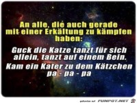 Erkaeltung