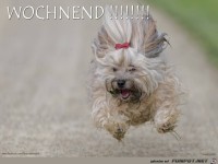 Wochenende