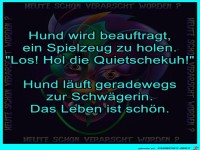 Hund soll Spielzeug holen