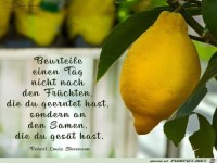 Beurteile einen Tag nicht