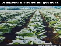 Dringend Erntehelfer gesucht