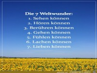 Die 7 Weltwunder
