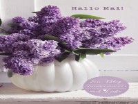 Hallo Mai