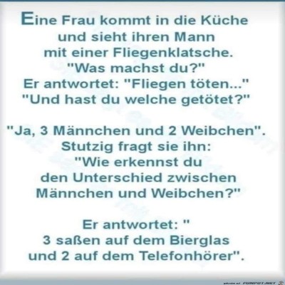 Fliegen.jpg von Warum