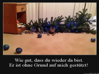 B�ser Baum