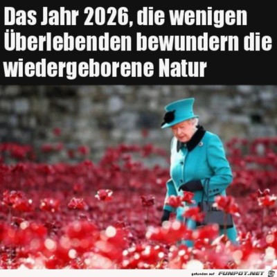 Sie-überlebt-alles-und-jeden.jpg von Lawrence