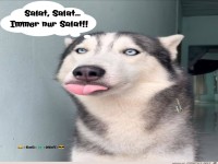 Karrrgellgerrrxxxxxxx