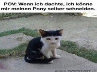 Pony selber geschnitten