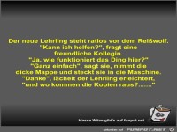 Der neue Lehrling steht ratlos vor dem Reiwolf