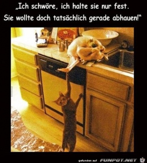 Ich-schwöre.jpg auf www.funpot.net