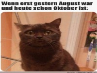 Gerade war doch noch August